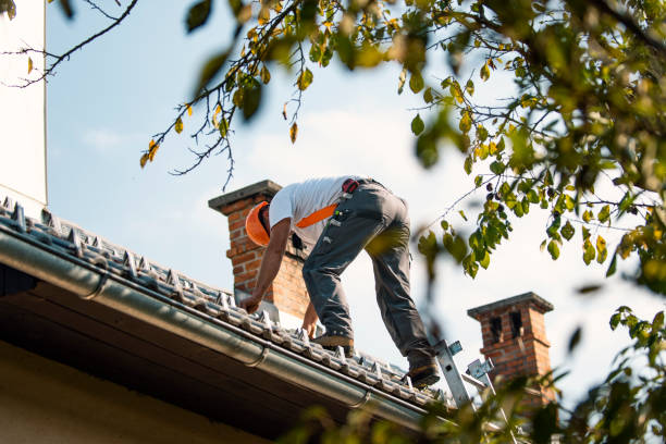 Best Emergency Roof Repair Services  in Mcminnville, TN
