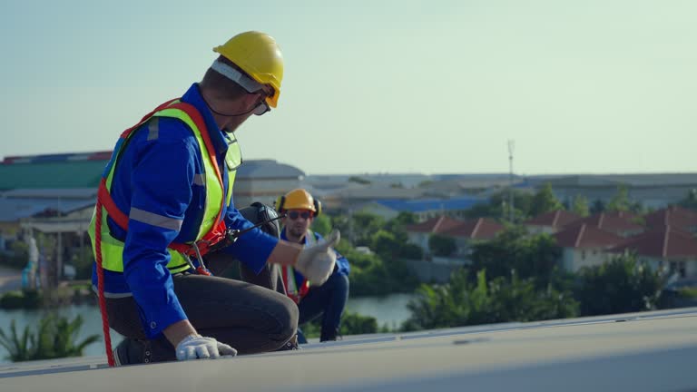 Best Asphalt Shingle Roofing  in Mcminnville, TN