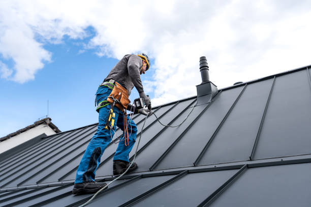 Best Solar Panel Roofing Installation  in Mcminnville, TN